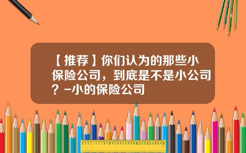 【推荐】你们认为的那些小保险公司，到底是不是小公司？-小的保险公司