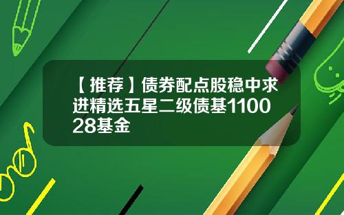 【推荐】债券配点股稳中求进精选五星二级债基110028基金