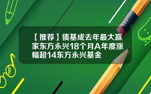 【推荐】债基成去年最大赢家东方永兴18个月A年度涨幅超14东方永兴基金