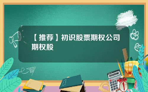 【推荐】初识股票期权公司期权股