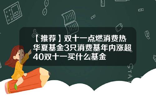 【推荐】双十一点燃消费热华夏基金3只消费基年内涨超40双十一买什么基金