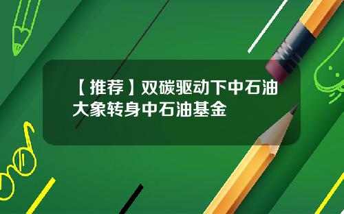 【推荐】双碳驱动下中石油大象转身中石油基金