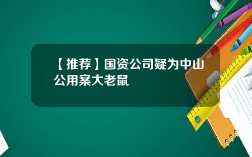 【推荐】国资公司疑为中山公用案大老鼠