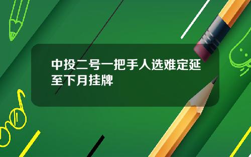中投二号一把手人选难定延至下月挂牌