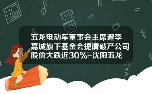 五龙电动车董事会主席遭李嘉诚旗下基金会提请破产公司股价大跌近30%-沈阳五龙动力科技有限公司