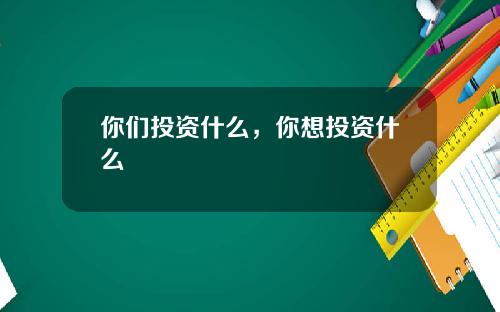 你们投资什么，你想投资什么