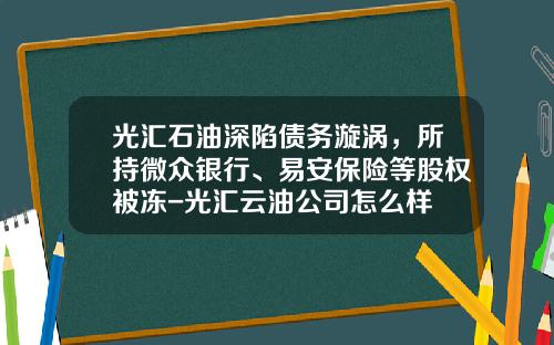 光汇石油深陷债务漩涡，所持微众银行、易安保险等股权被冻-光汇云油公司怎么样