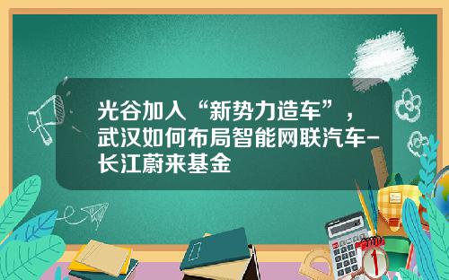 光谷加入“新势力造车”，武汉如何布局智能网联汽车-长江蔚来基金