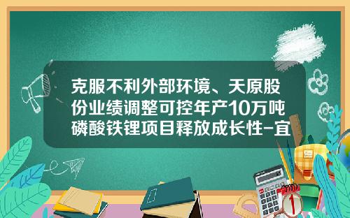 克服不利外部环境、天原股份业绩调整可控年产10万吨磷酸铁锂项目释放成长性-宜宾天原供应总公司