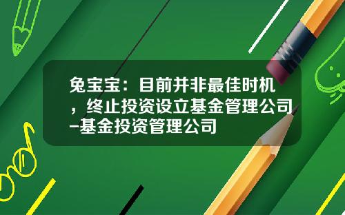 兔宝宝：目前并非最佳时机，终止投资设立基金管理公司-基金投资管理公司