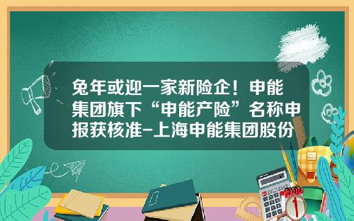 兔年或迎一家新险企！申能集团旗下“申能产险”名称申报获核准-上海申能集团股份有限公司