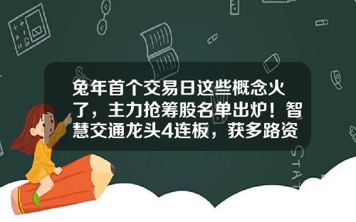 兔年首个交易日这些概念火了，主力抢筹股名单出炉！智慧交通龙头4连板，获多路资金抢筹-早盘资讯板块龙头股票