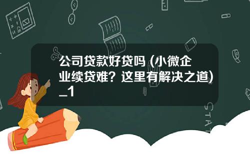 公司贷款好贷吗 (小微企业续贷难？这里有解决之道)_1