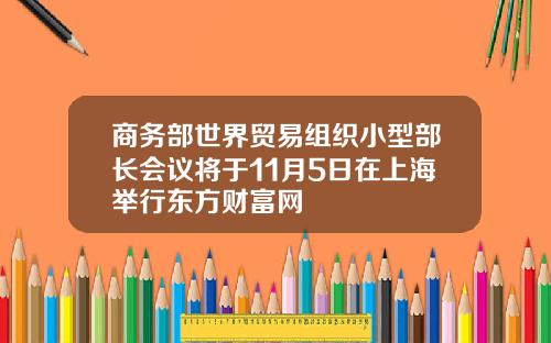 商务部世界贸易组织小型部长会议将于11月5日在上海举行东方财富网