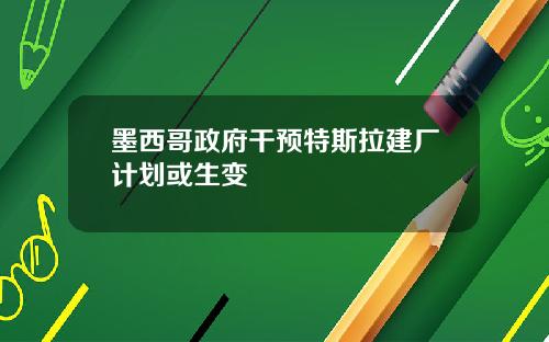 墨西哥政府干预特斯拉建厂计划或生变