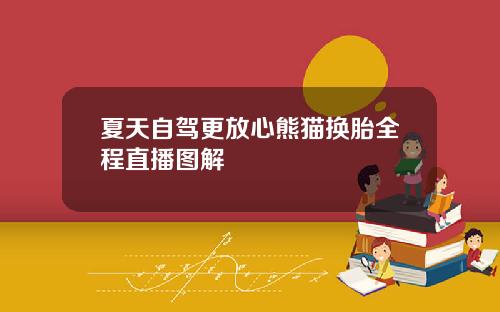 夏天自驾更放心熊猫换胎全程直播图解
