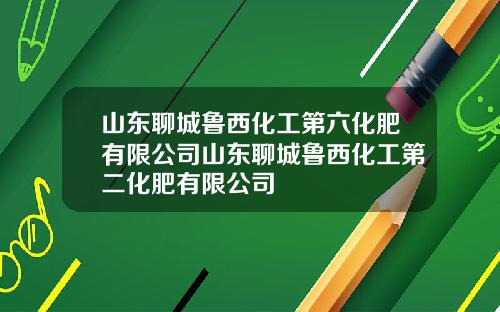 山东聊城鲁西化工第六化肥有限公司山东聊城鲁西化工第二化肥有限公司