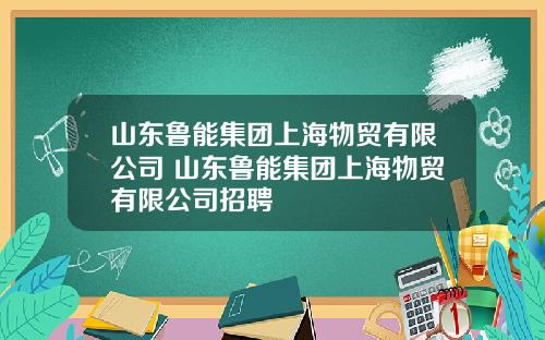 山东鲁能集团上海物贸有限公司 山东鲁能集团上海物贸有限公司招聘