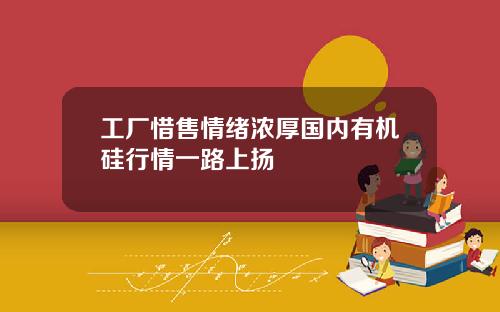 工厂惜售情绪浓厚国内有机硅行情一路上扬
