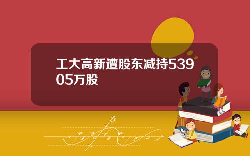 工大高新遭股东减持53905万股