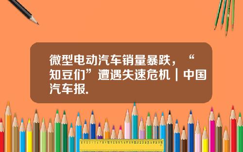 微型电动汽车销量暴跌，“知豆们”遭遇失速危机｜中国汽车报.