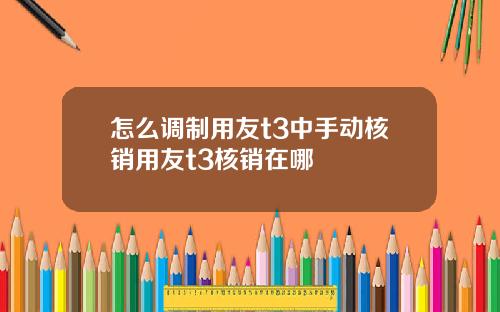 怎么调制用友t3中手动核销用友t3核销在哪