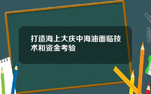 打造海上大庆中海油面临技术和资金考验