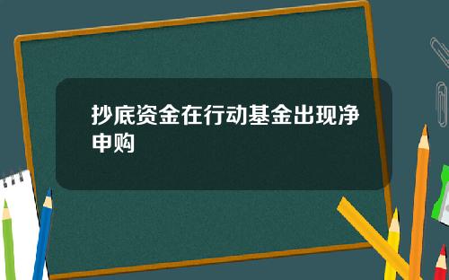 抄底资金在行动基金出现净申购