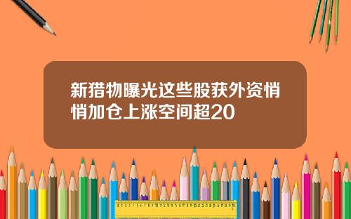 新猎物曝光这些股获外资悄悄加仓上涨空间超20