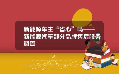 新能源车主“省心”吗——新能源汽车部分品牌售后服务调查