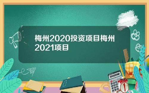 梅州2020投资项目梅州2021项目