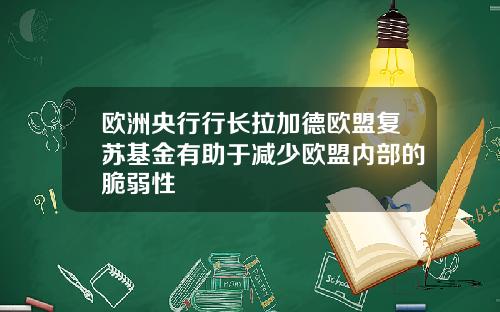 欧洲央行行长拉加德欧盟复苏基金有助于减少欧盟内部的脆弱性