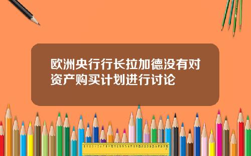 欧洲央行行长拉加德没有对资产购买计划进行讨论