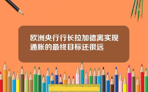 欧洲央行行长拉加德离实现通胀的最终目标还很远