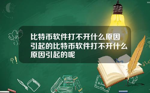 比特币软件打不开什么原因引起的比特币软件打不开什么原因引起的呢