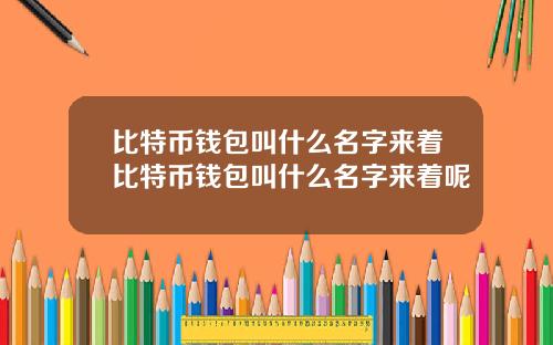 比特币钱包叫什么名字来着比特币钱包叫什么名字来着呢