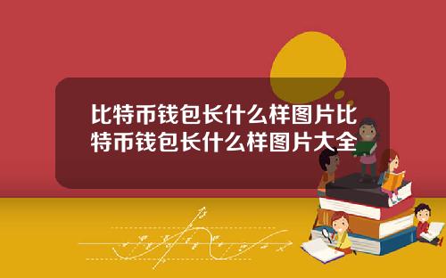 比特币钱包长什么样图片比特币钱包长什么样图片大全
