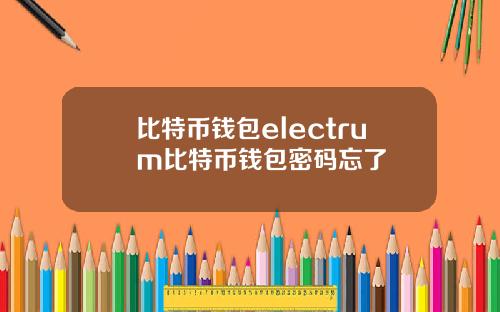 比特币钱包electrum比特币钱包密码忘了