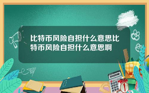 比特币风险自担什么意思比特币风险自担什么意思啊