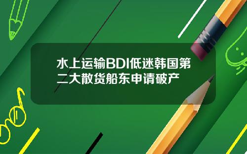 水上运输BDI低迷韩国第二大散货船东申请破产