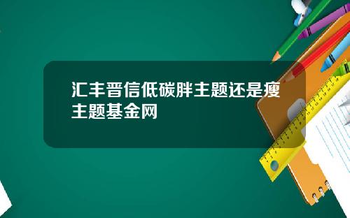 汇丰晋信低碳胖主题还是瘦主题基金网