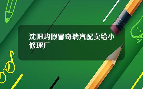 沈阳购假冒奇瑞汽配卖给小修理厂