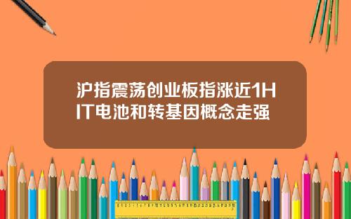 沪指震荡创业板指涨近1HIT电池和转基因概念走强