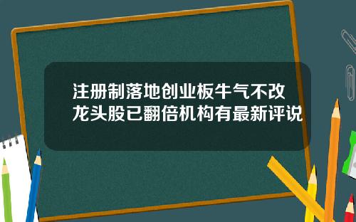 注册制落地创业板牛气不改龙头股已翻倍机构有最新评说