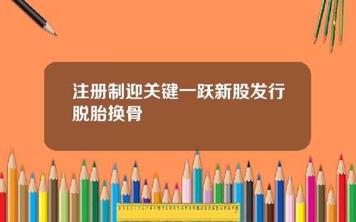 注册制迎关键一跃新股发行脱胎换骨