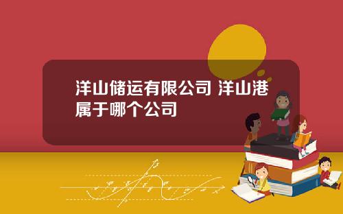 洋山储运有限公司 洋山港属于哪个公司