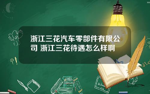 浙江三花汽车零部件有限公司 浙江三花待遇怎么样啊