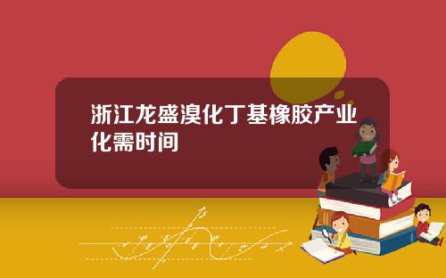 浙江龙盛溴化丁基橡胶产业化需时间