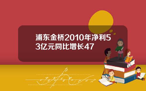 浦东金桥2010年净利53亿元同比增长47