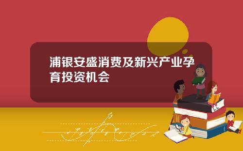 浦银安盛消费及新兴产业孕育投资机会